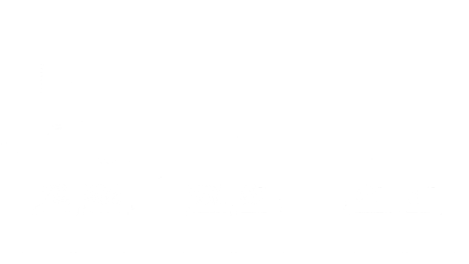 莱鲁奇先生